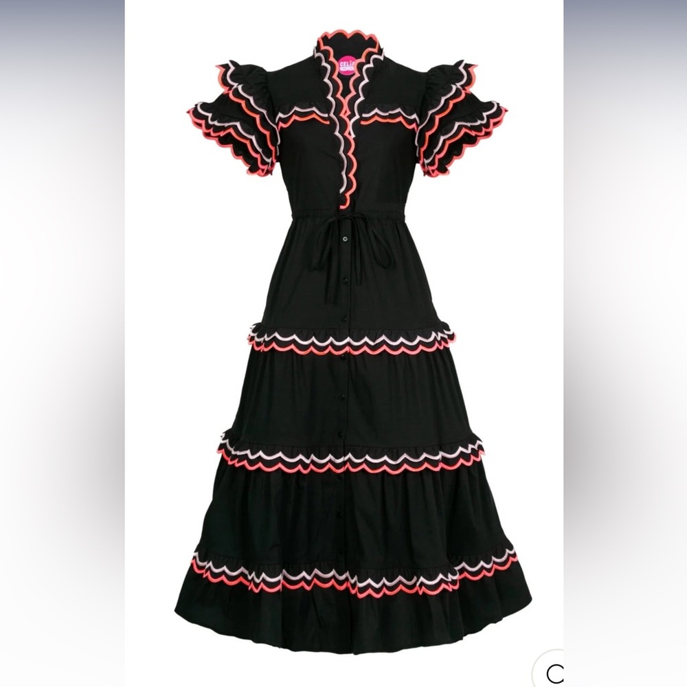 CeliaB Antartico Dress Small 2024